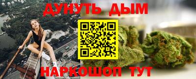 крисы Гатчина