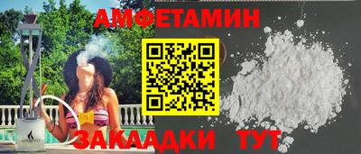 крисы Гатчина