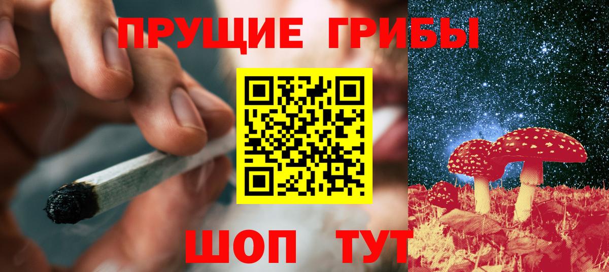 Псилоцибиновые грибы Cubensis Камень-на-Оби