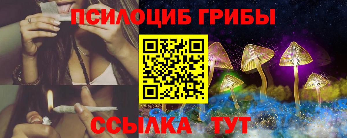 Камень-на-Оби  Псилоцибиновые грибы ЛСД  Вход с VPN 